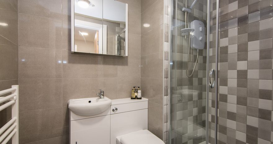 The toilet washbasin mirror and shower at Stanley House