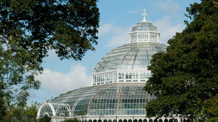 The Palm House in Liverpool pictured among trees
