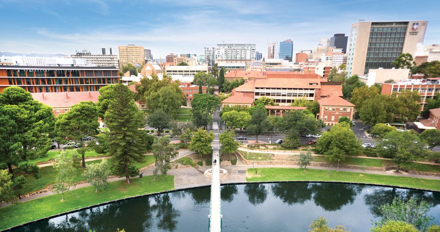 Garden area near University of Adelaide's campus