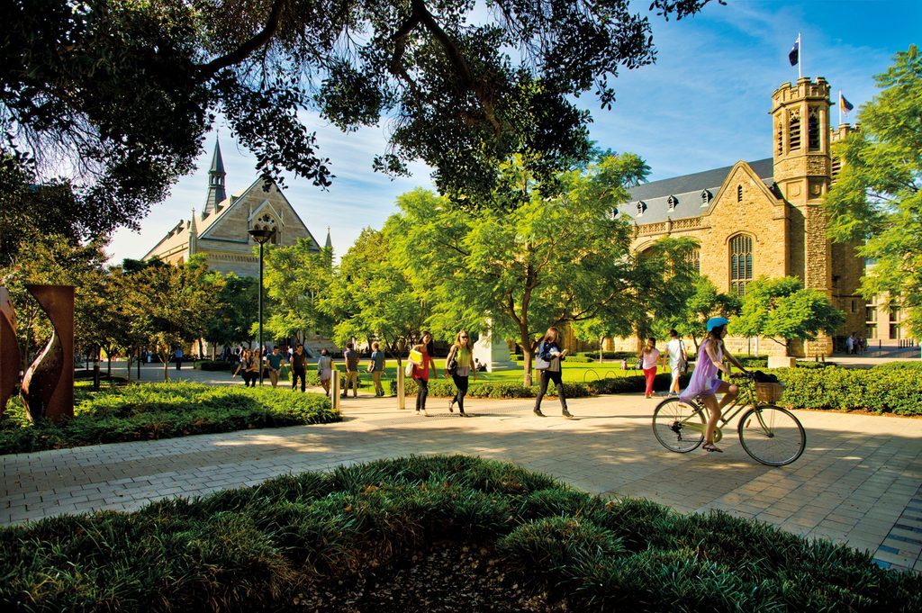 People cycling and walking at University of Adelaide's campus