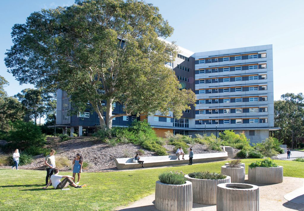 A leafy section of the University of Newcastle campus