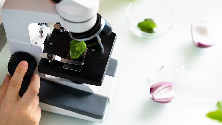A microscope inspecting a leaf