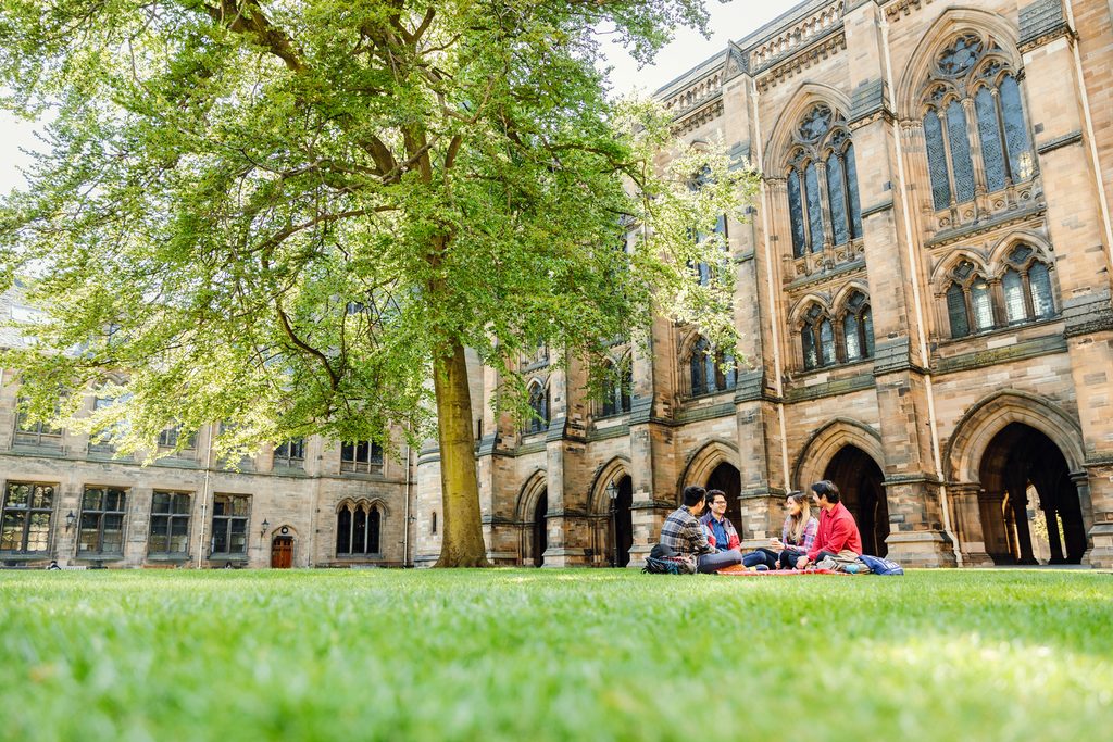 A group of students sitting on grass at campus yard