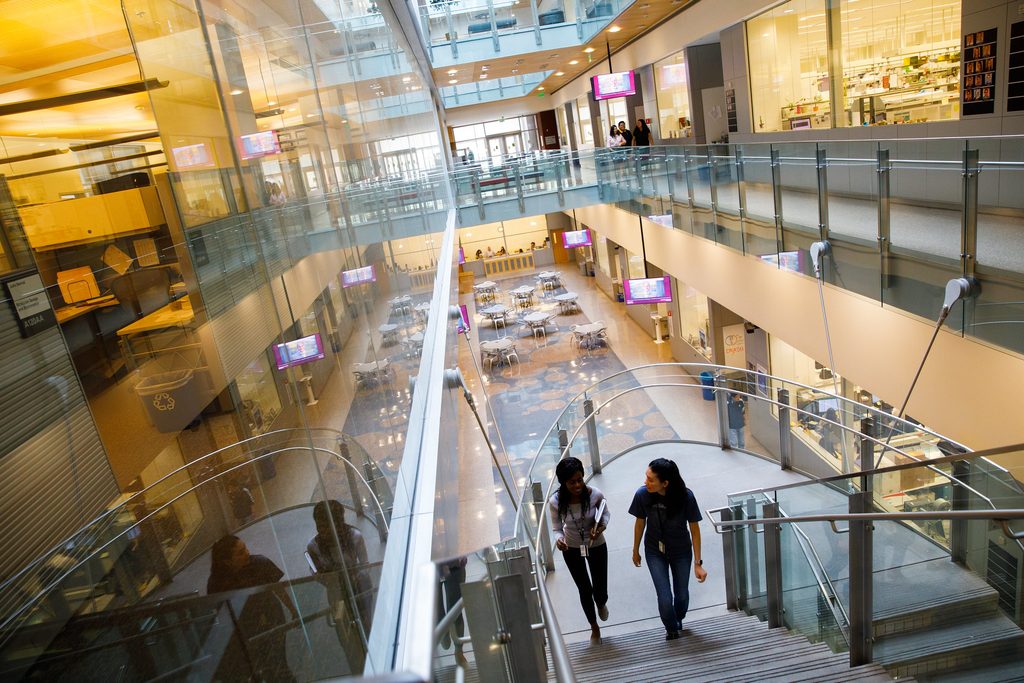Two students walking around a mall in Phoenix
