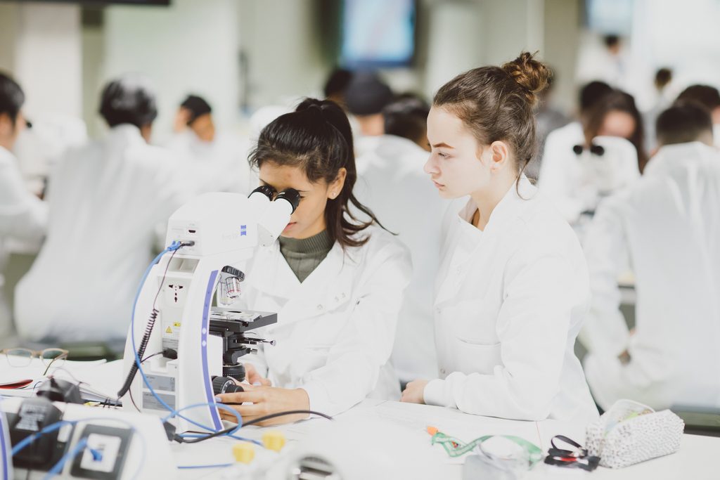 Students in sciences class at the University of Essex