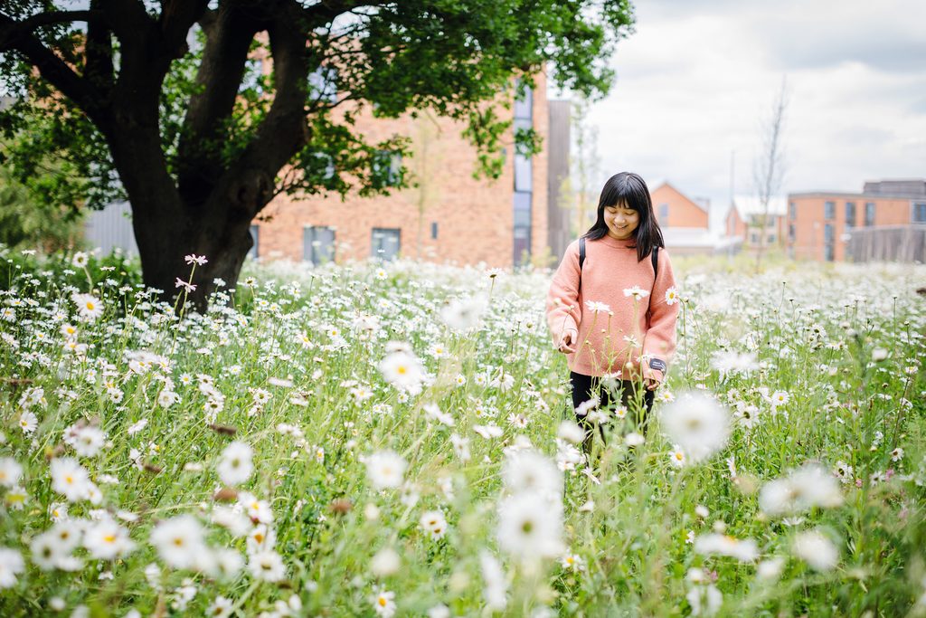 Student walking in a field full of dasies