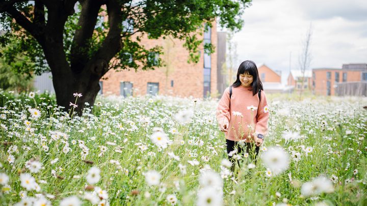 Student walking in a field full of dasies