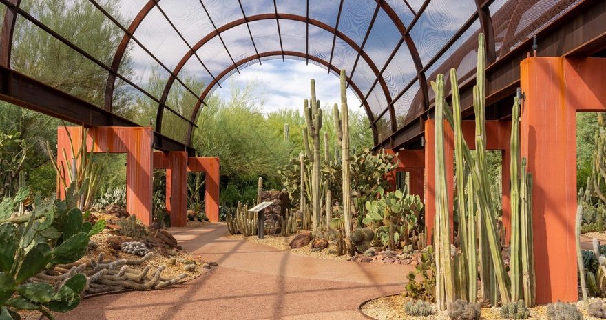 View from Desert Botanical Garden