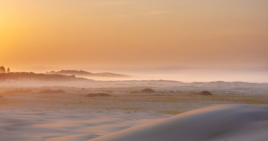 Desert landscape