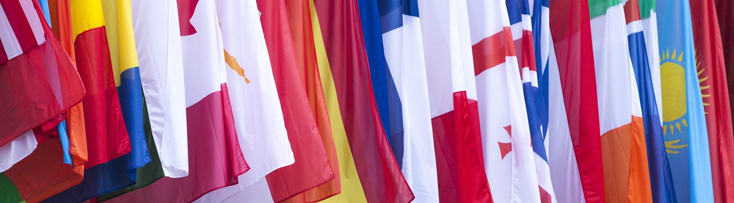 Several international flags blowing in the wind