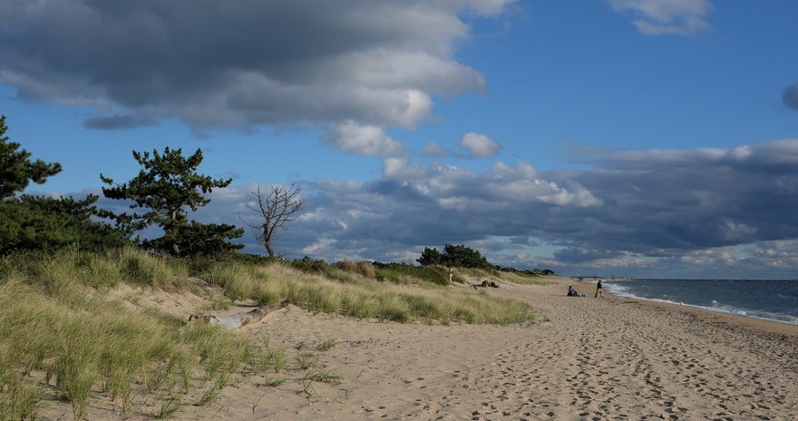 Hammonasset Beach