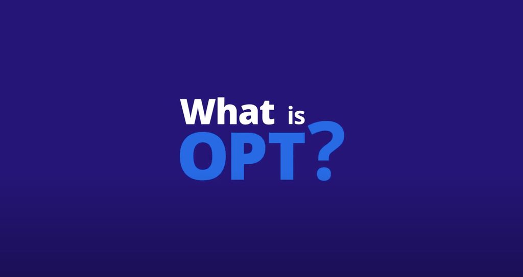 Text, What is OPT?