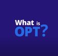 Text, What is OPT?