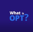 Text, What is OPT?