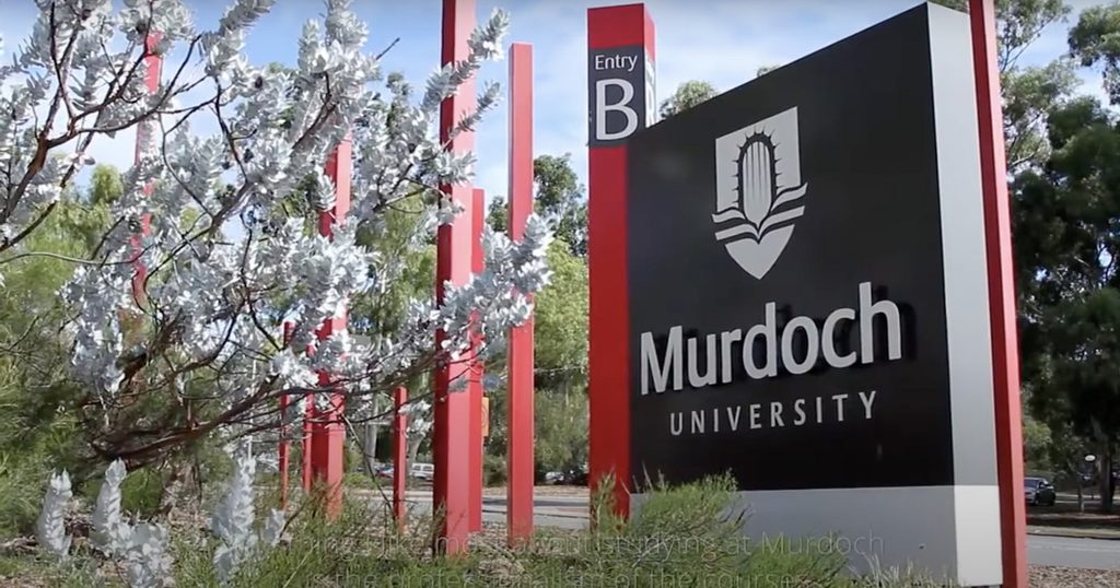 Outdoors, Gravestone, Tomb
