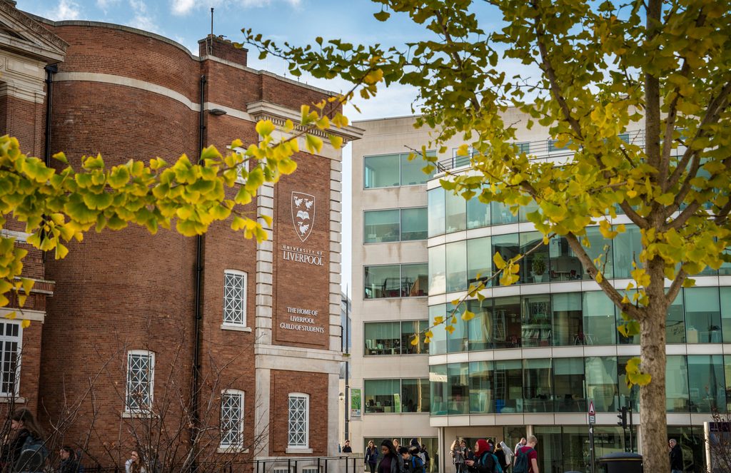 A tree and a building in the University of Liverpool campus