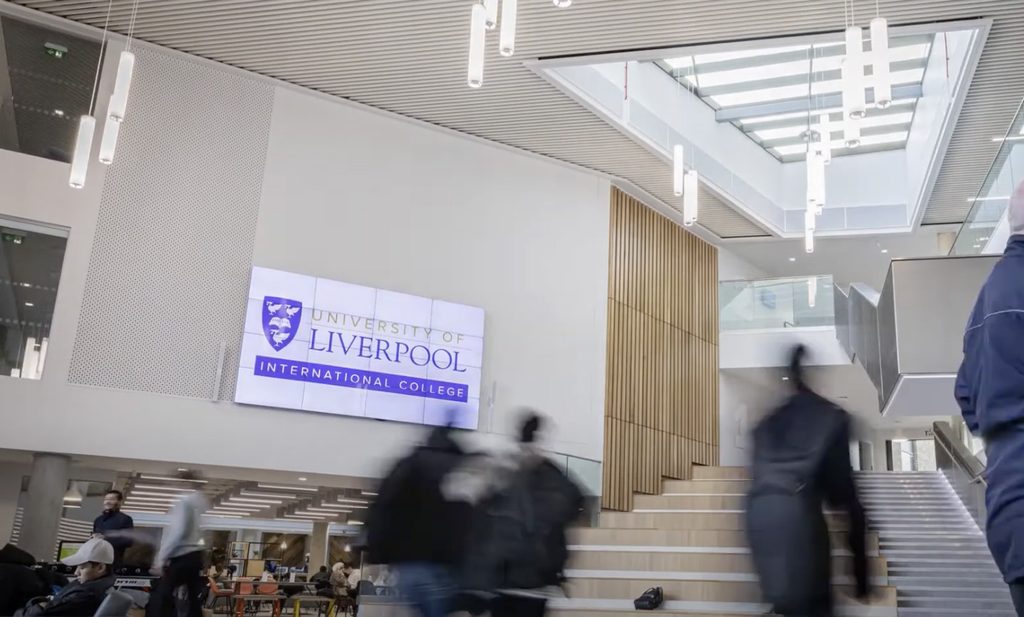 Airport, Person, Man