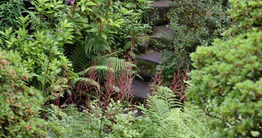 a view from Winterbourne House and Garden in Birmingham