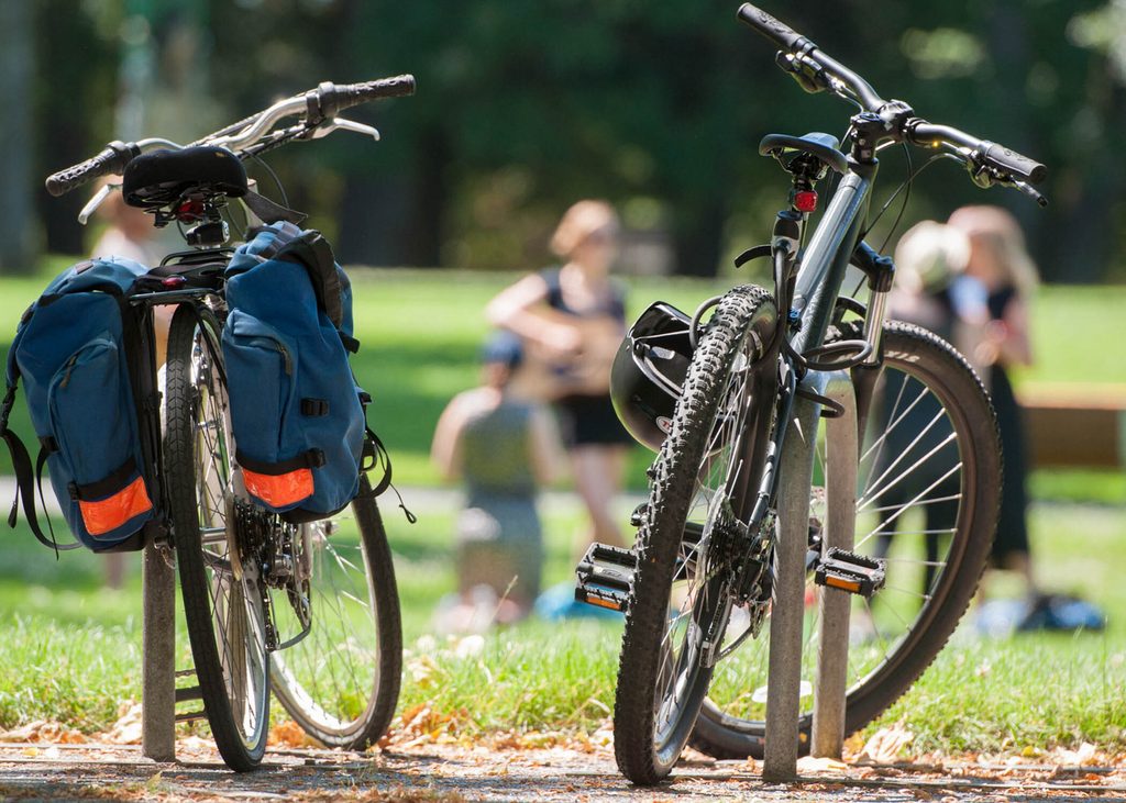 Bikes at the University of Victoria