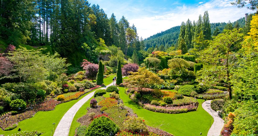 Grass, Nature, Outdoors