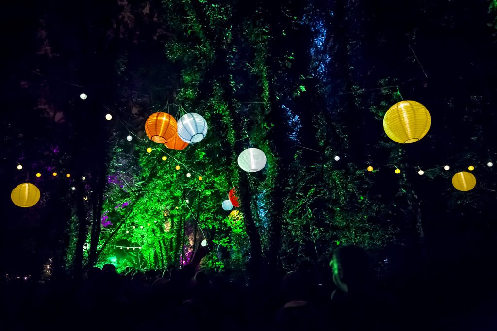 Light festival in the woods